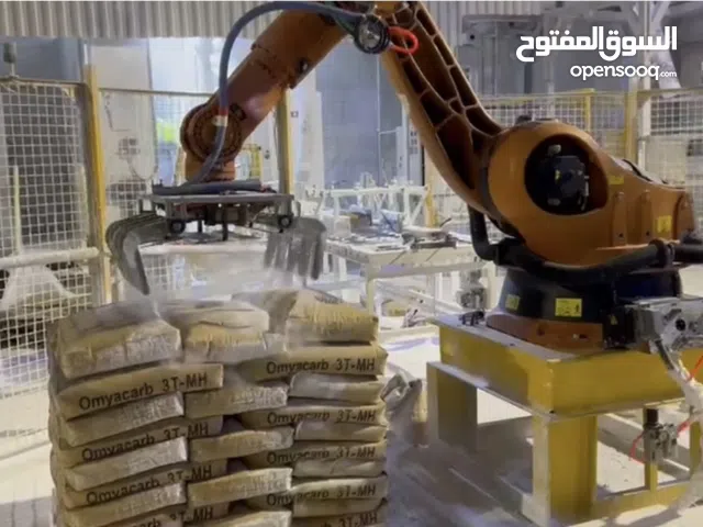 Full palletizing robot