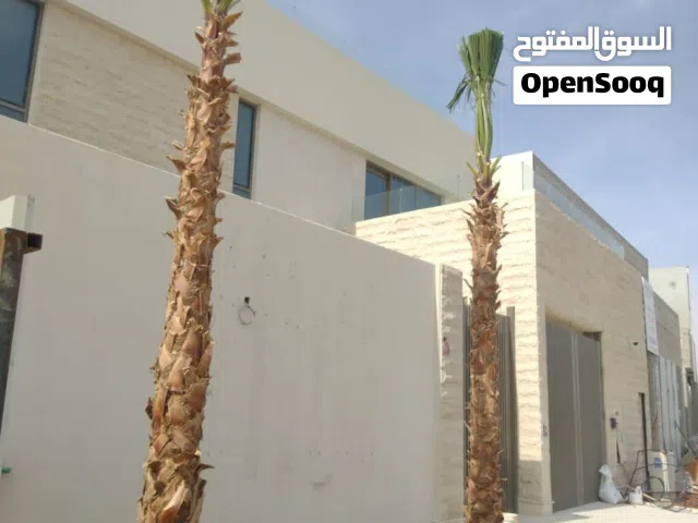 أشجار الزينه والنخيل الوشنطن