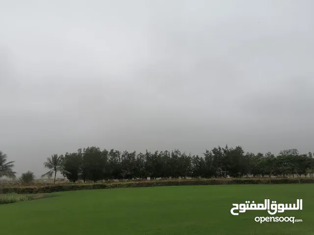 استقبال وعودة مطار صلاله في خريف صلاله سباحة وايجار سيارة صلاله