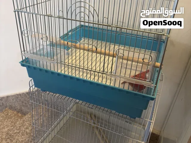 أقفاص طيور كاسكو حضانات