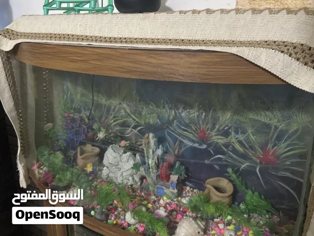 حوض سمك للبيع مقاس كبير