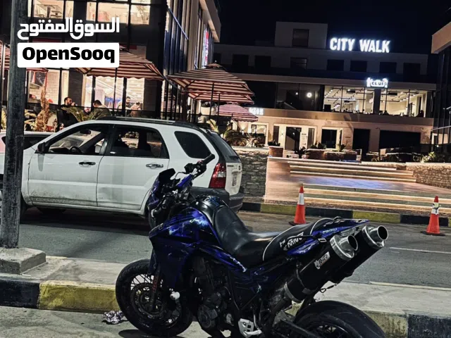 2010 ياماها XT 660X