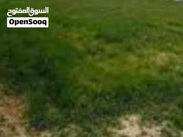 أرض 807م سكنية/شارعين/ بعيدة 680متر عن ش.مأدبا الشرقي و187م عن الاندلسية للبيع- الرقم المرجعي 21038