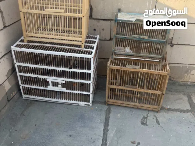 اقفاص لبيع