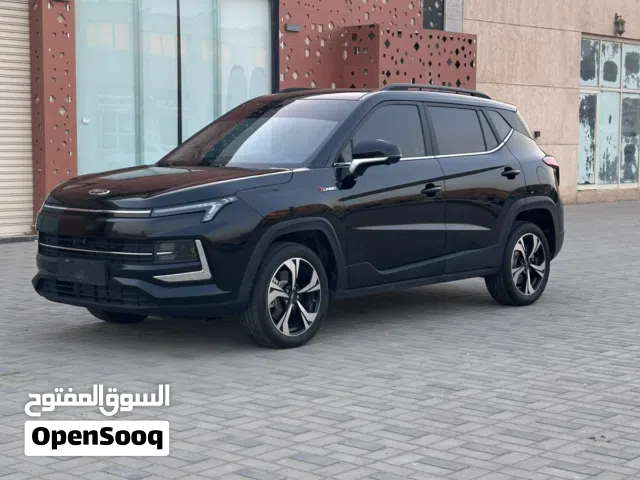 2024 جاك JS4 Luxury