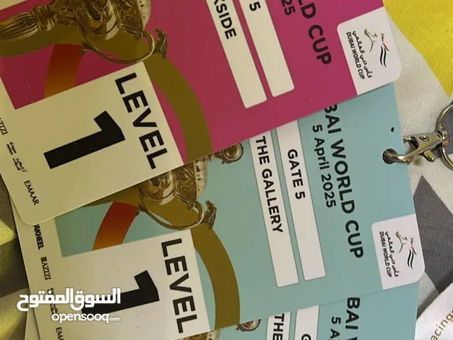 Dubai World Cup vip tickets