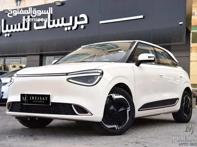 Used Dongfeng Nammi Box in Amman