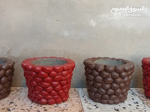 محبس غرس 35