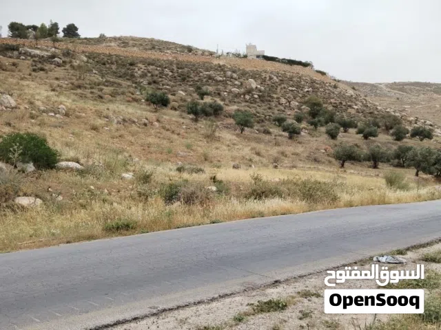 Farm Land for Sale in Salt Al Balqa'