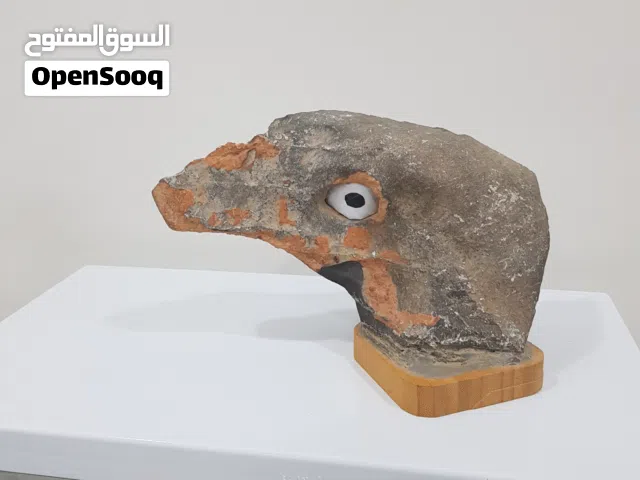 صخرة على شكل وجه طائر