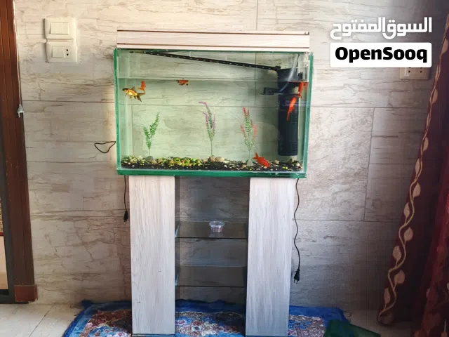 احواض اسماك باشكالها وانواعها