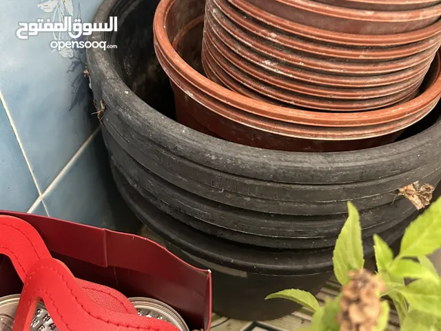 اصيصات زرع