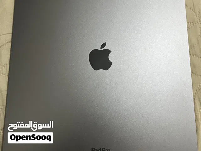 Ipad pro m2 13 inch