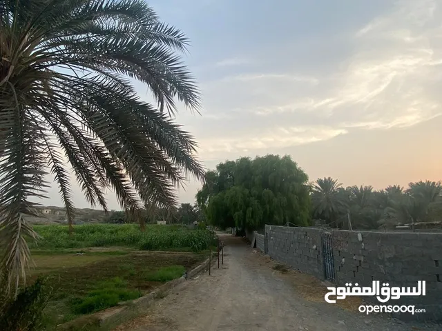 مزرعة بولاية الرستاق منطقة جماء تحتوي على بئر+رق للبيـــــــــــــع