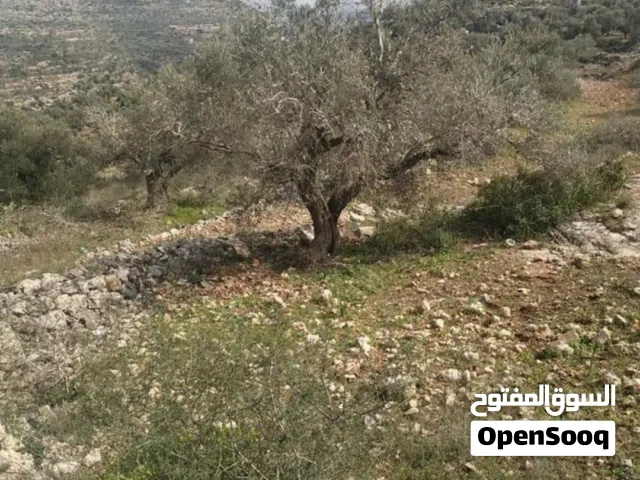 Mixed Use Land for Sale in Ramallah and Al-Bireh Dayr Ghasana