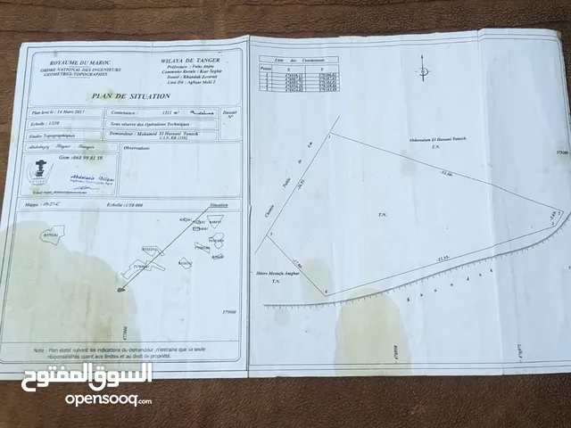 أرض للبيع ب واد عليان  Terrain terrain à vendre à Ouad Alian  Land for sale  in oued alian