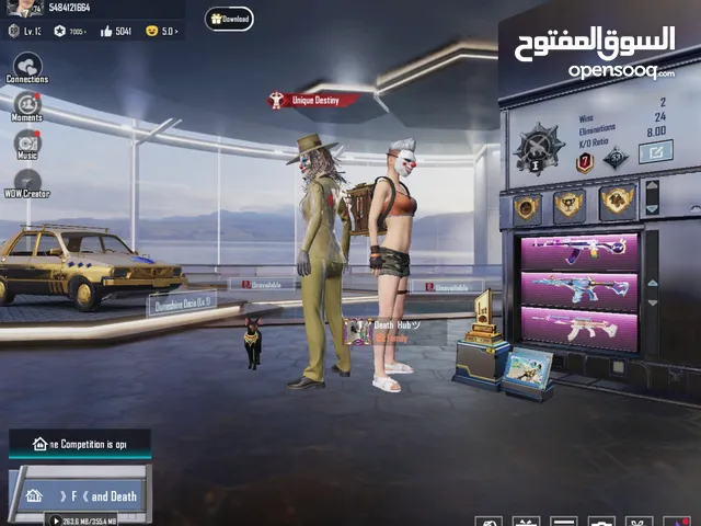 Pubg Accounts and Characters for Sale in Amman