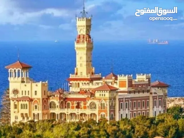 شقة بالاسكندرية للبيع 3 غرفة بالمنتزة