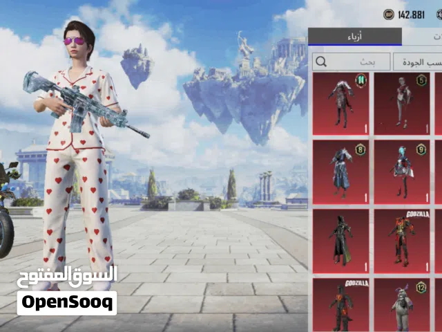 Pubg Accounts and Characters for Sale in Dhi Qar