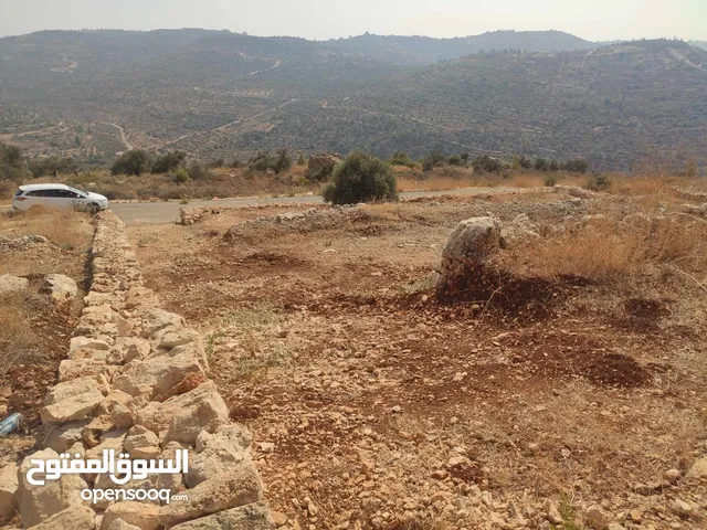 قطعة أرض للبيع في مزارع النوباني تصنيف أ