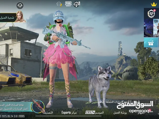 Pubg Accounts and Characters for Sale in Salt