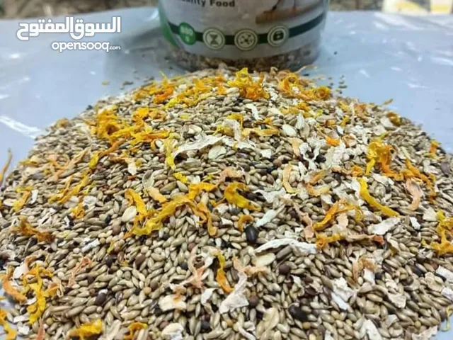 بادجى فود(استرالى - زيبرا )