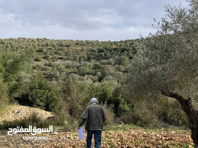 أرض مميزة في جفنا