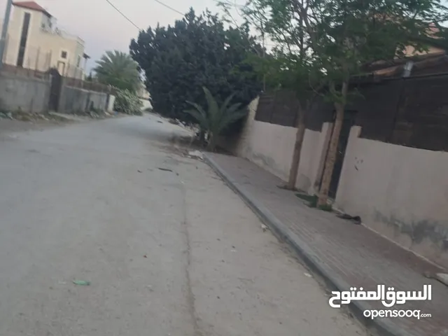 أحمد أبو مطاوع