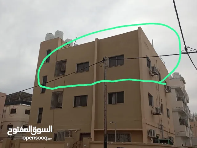 70 m2 2 Bedrooms Apartments for Rent in Aqaba Al Mahdood Al Gharby