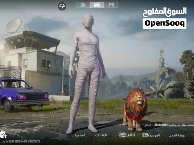Pubg Accounts and Characters for Sale in Ismailia