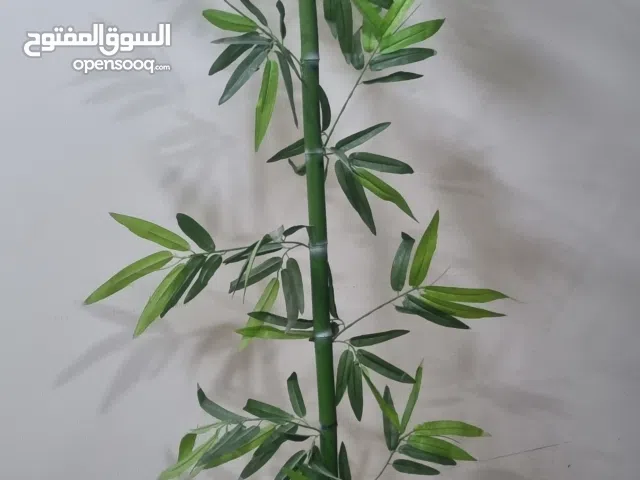 artificial bamboo plant with vase.. tall and look nice.. expat leaving. need urgent sale