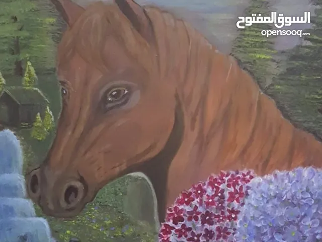 عده لوحات كانفس ألوان الأكليرك احجام 45سم في 50سم لعشاق الرسم