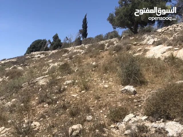 ارض للبيع في بيت امرين