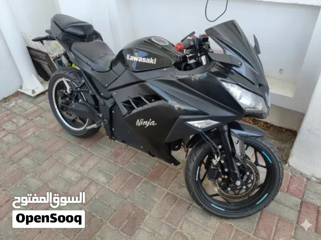 2024 كاواساكي Ninja 400