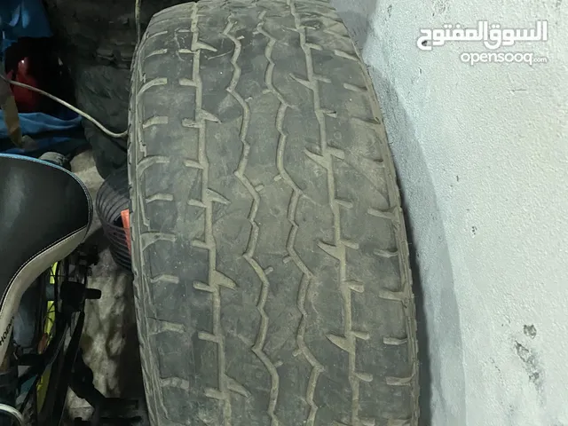 كوشوك فالكين حجم 20