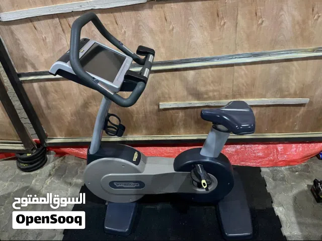 Technogym Upright Bike -