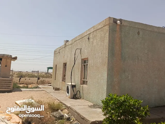 مزرعه عله طريق معمل الاسمده مال الخور نزلت المعمل موقع كلش حلو عله شارع تبليط