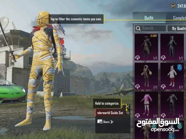 Pubg Accounts and Characters for Sale in South Sinai