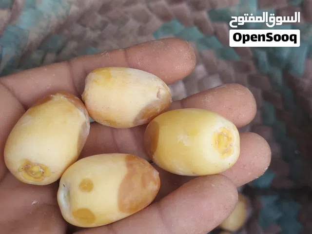 khalas and kaneg and makrani