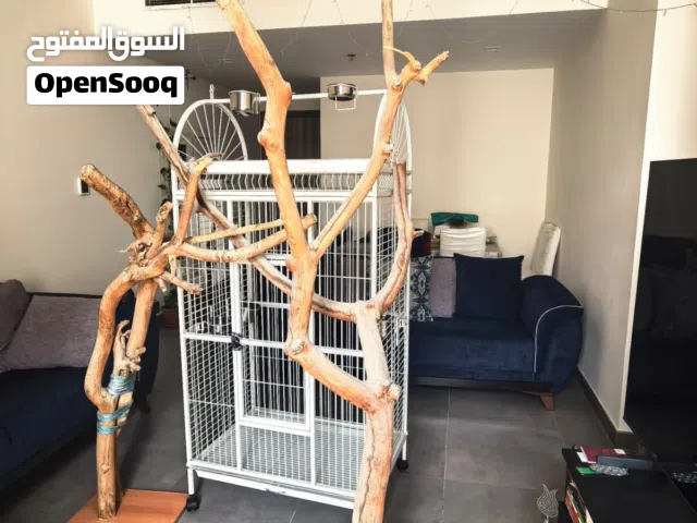 Large Cage and large perch