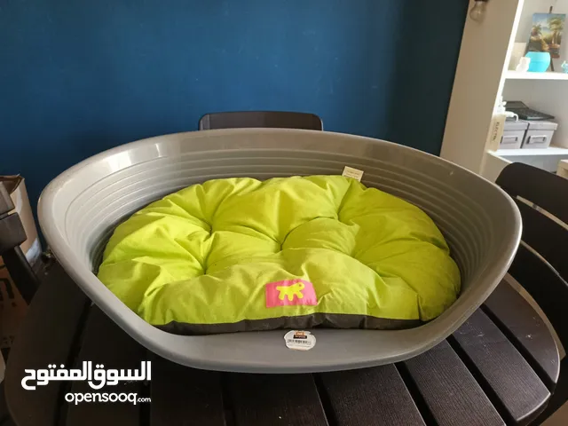 مجموعة أغراض للقطط