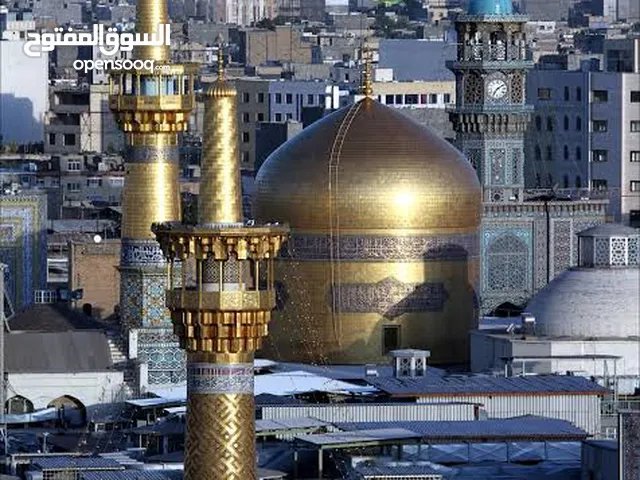 مترجم السياحة الطبية ومستشار المشتريات للتصدير في إيران للعراقيين