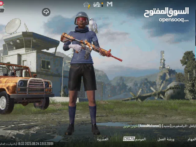 Pubg Accounts and Characters for Sale in Southern Governorate