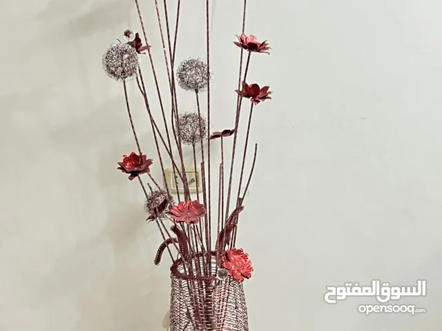 منظر زينة 000