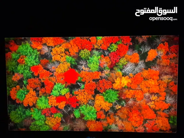 LG Plasma 32 inch TV in Baghdad