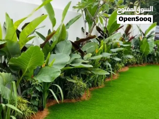 مزرعه مسك للزهور والأشجار الطبيعي