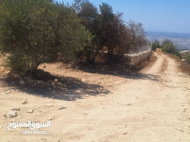 Mixed Use Land for Sale in Hebron Halhul