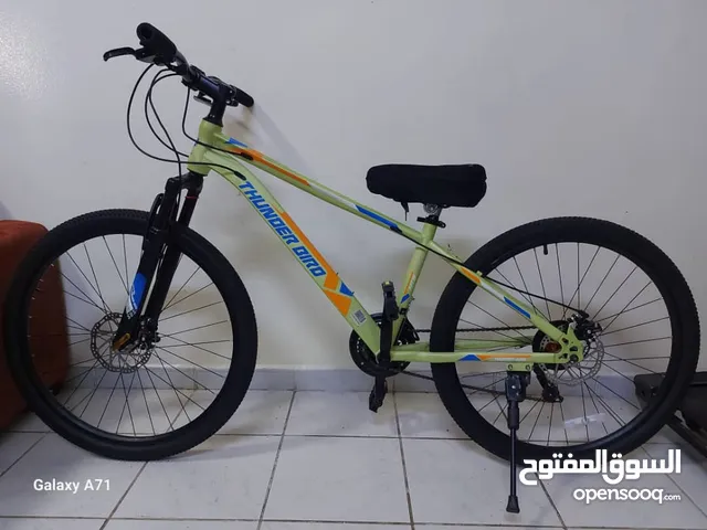 Bicycle thunder bird