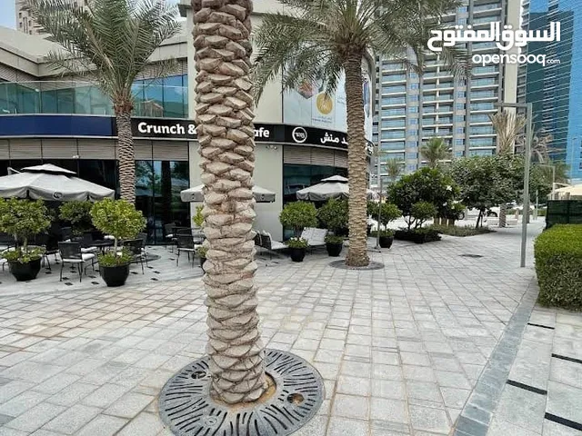 60 m2 1 Bedroom Apartments for Rent in Abu Dhabi Al Bateen