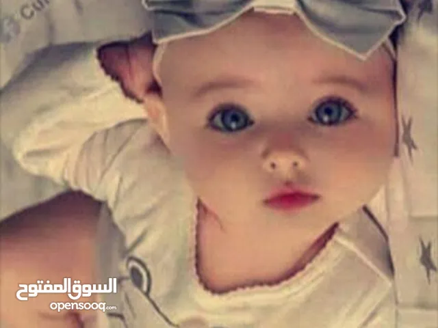 هديل صالح